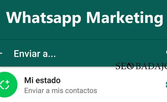 estados de whatsapp para marketing digital