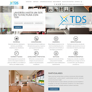 trabajo TDS ingeniería diseño web